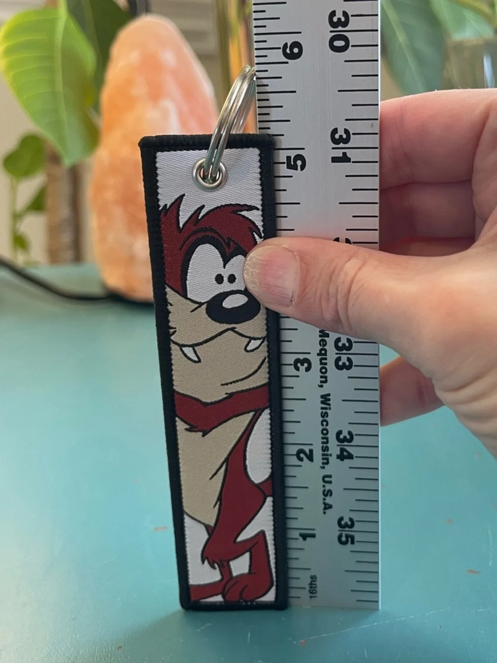 Warner Bros Looney Tunes Taz Tasmanian Devil Embroidered Double Sided Keychain
